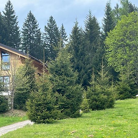 Chalet Bergheimat Wagrain Exterior photo